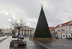 Eglė Rotu&scaron;ės aik&scaron;tėje