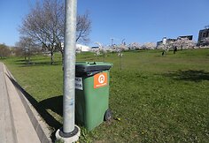 Prie sakurų pirmadienį šiukšlių kalnų nebebuvo