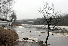 Ledonešis Vilniuje