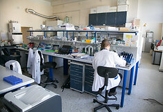 Vilniaus universiteto Biotechnologijos instituto profesoriaus Virginijaus &Scaron;ik&scaron;nio laboratorija