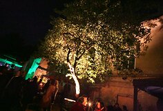 &bdquo;Green Night&ldquo; akimirka