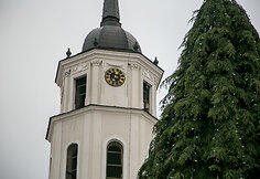 Vilniuje jau pradėta puo&scaron;ti Kalėdų eglė