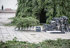 Vilniuje jau pradėta puo&scaron;ti Kalėdų eglė