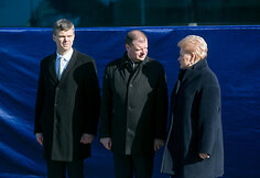 Saulius Skvernelis, Darius Jauni&scaron;kis, Dalia Grybauskaitė