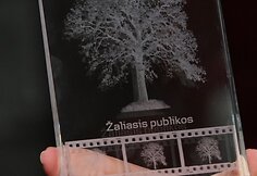 &bdquo;Režisieriaus Petro Abukevičiaus žaliojo kino festivalio&ldquo; apdovanojimas