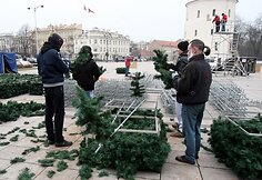 Katedros aik&scaron;tėje stovės dirbtinė eglė