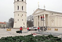 Katedros aik&scaron;tėje stovės dirbtinė eglė