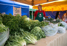 Festivalio &bdquo;VegfestLT&ldquo; akimirka