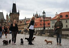 Pasivaik&scaron;čiojimas Prahos senamiestyje