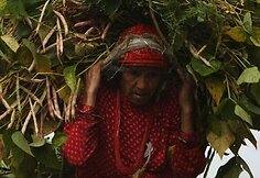 Nepalo moters portretas