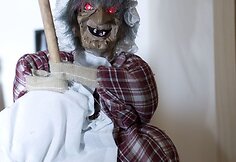 Radži Aleksandrovičius. Nauji namai