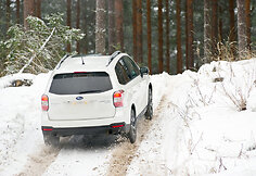 &bdquo;Subaru Forester&ldquo; bandymai sniego nuklotoje Suomijoje