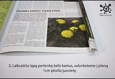 2 žingsnis