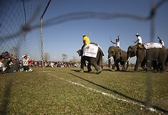 Dramblių futbolo varžybų akimirka