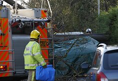 Ant automobilio nuvirtęs medis