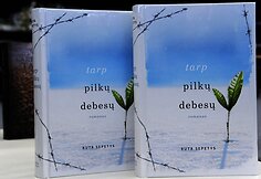 Romanas „Tarp pilkų debesų“