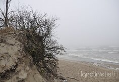 Lietuvos pajūris