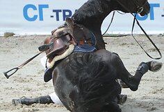 Kumelė Celly Negra užgriuvo Beną Gutkauską.