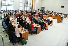 Konstitucijos egzaminas