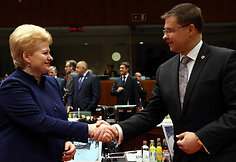 Dalia Grybauskaitė Europos Vadovų Tarybos posėdyje