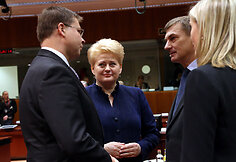 Dalia Grybauskaitė Europos Vadovų Tarybos posėdyje