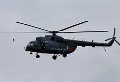 Kregždutės ir sraigtasparnio lenktynės