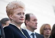 Prezidentė Dalia Grybauskaitė (2013 m. vasario 6 d.)