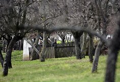 Policija žudynių vietoje