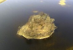 Potvynis pamaryje
