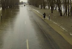 Potvynis pamaryje