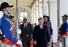 Dalia Grybauskaitė dalyvauja Vidurio Europos valstybių vadovų susitikime