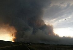 Mi&scaron;kų gaisras Arizonoje