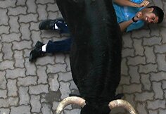 Trečiasis San Fermino bulių bėgimas