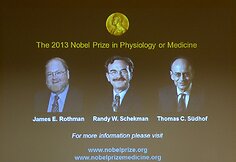 Nobelio medicinos premijos paskelbimo ceremonija