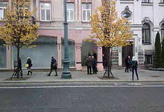 Gaisras kailių salone &bdquo;Nijolė&ldquo;