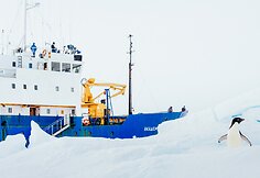 Antarktidoje įstrigęs laivas „Akademik Šokalskij“