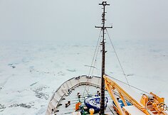 Antarktidoje įstrigęs laivas „Akademik Šokalskij“