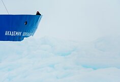 Antarktidoje įstrigęs laivas „Akademik Šokalskij“