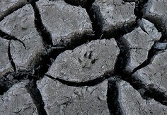 Išdžiūvęs Almadeno tvenkinys Kalifornijoje