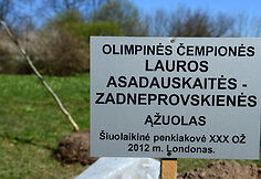 Laura Asadauskaitė sodino ąžuolą olimpiečių alėjoje