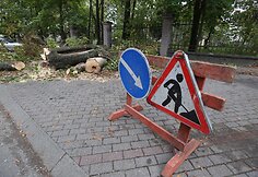 Vilniuje, Radvilų gatvėje nupjauti medžiai.