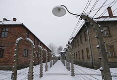 Au&scaron;vico koncentracijos stovykla