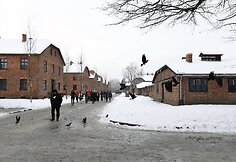 Au&scaron;vico koncentracijos stovykla