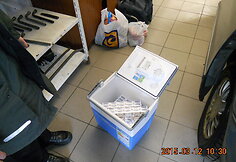 Kontrabandinės cigaretės