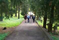 Festivalis „Sirenos”