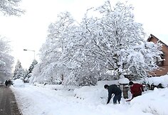 Škotija