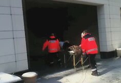 Mia vežama į Baltijos ir Amerikos kliniką.