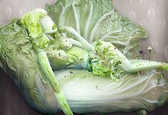 An