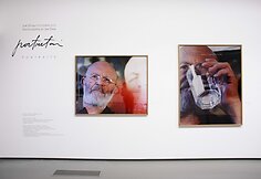 Jimo Dine'o paroda