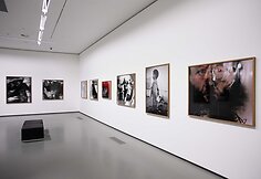 Jimo Dine'o paroda